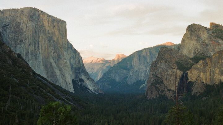 Logo for Roe - Pringle Small Group