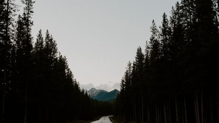 Logo for The Discipleship Journey - Gallant