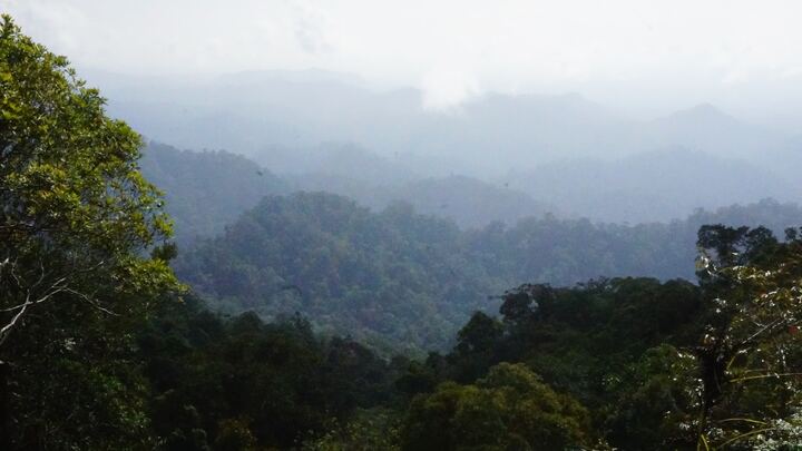 Logo for The Discipleship Journey - Davidson & Hewes