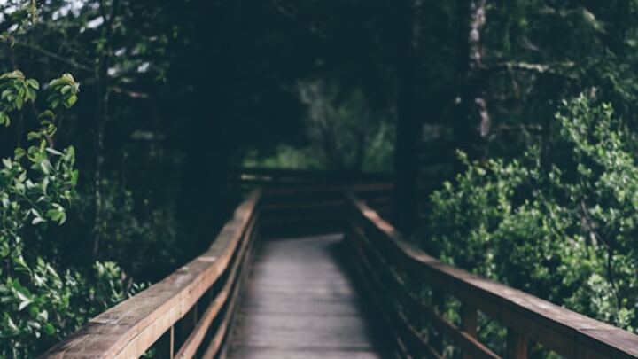 Logo for The Discipleship Journey - Kinder