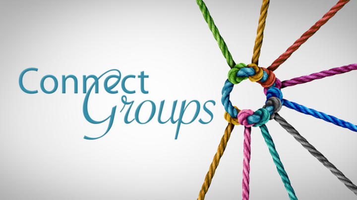 Logo for Connect Group - Reece/Petroschek - Fall 2025