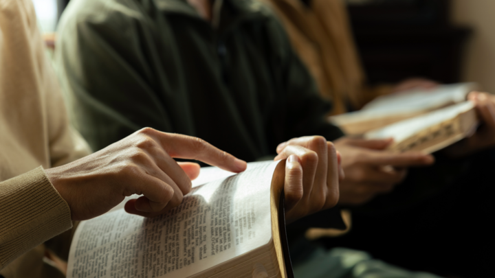 Logo for Sweat Life Group - 55+ Adults