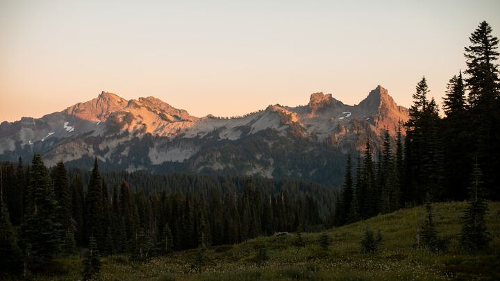 Logo for The Discipleship Journey - Vincent