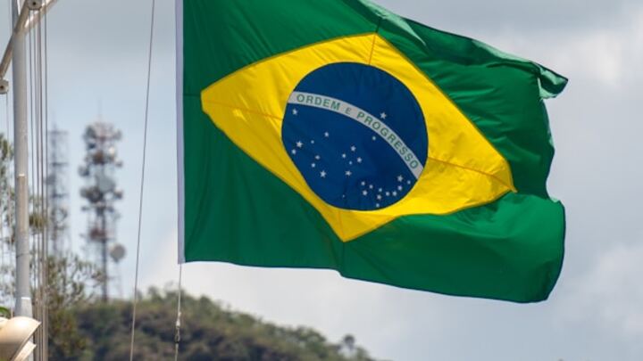 Logo for Brazilians in Winter Garden