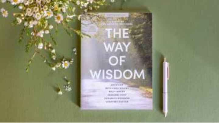 Logo for Tuesday Morning Sisterhood