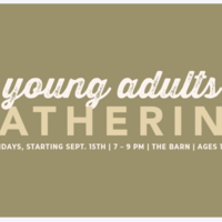 Logo for Young Adults