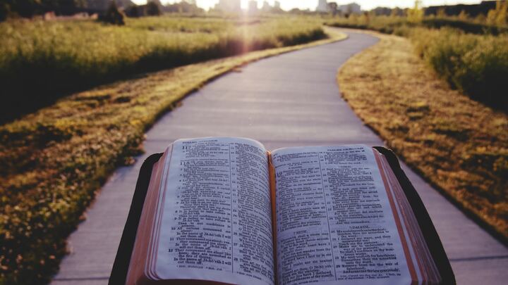 Logo for How to Read and Study the Bible (Fall 2025)