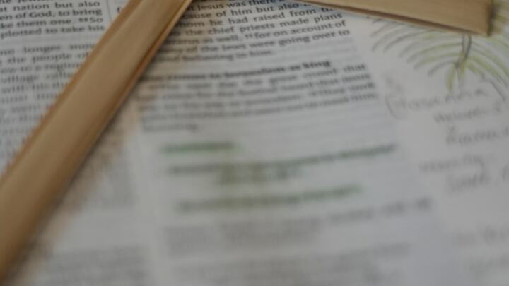 Logo for Adult SS Class