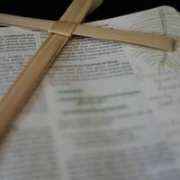 Logo for Adult SS Class