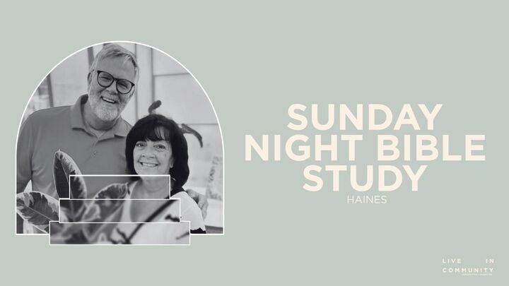 Logo for Sunday Night Bible Study Group - Haines