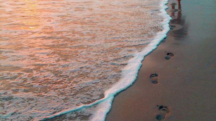 Logo for Disciples of Jesus