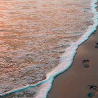 Logo for Disciples of Jesus