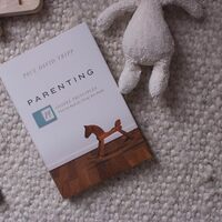 Logo for Big Picture Parenting