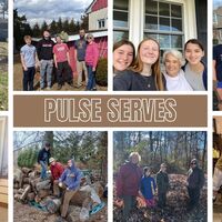 Logo for Pulse Serves