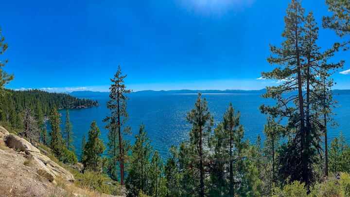 Logo for Reno | Singles | Women