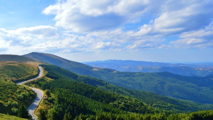 Logo for The Discipleship Journey - Carol Chabot & Ayesha Hall