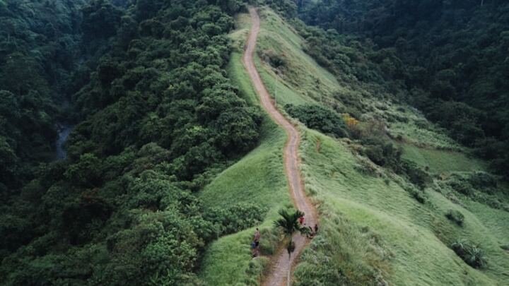 Logo for The Discipleship Journey - Coleman