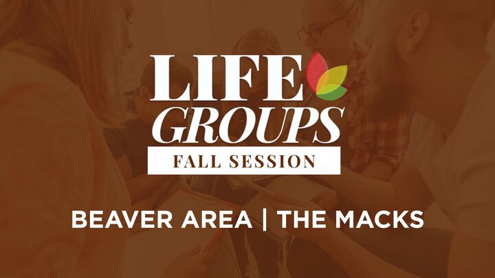 Logo for Beaver Area | Fall Session