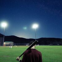 Logo for Carson | Burdsall | Coed | Softball