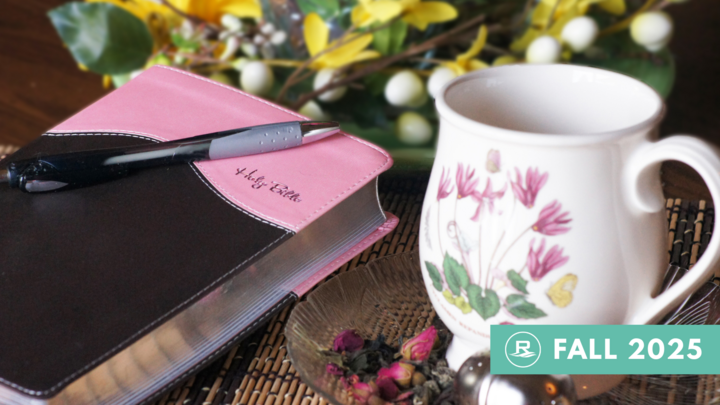 Logo for Ladies | Sermon Series | Barb Osentoski