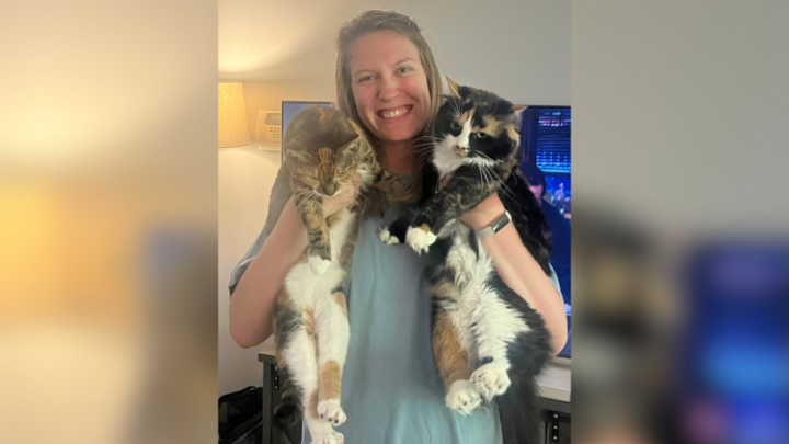 Logo for Harshman Group - 11th Grade Girls