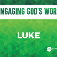 Logo for Engaging Gods Word - Luke (Womens Bible Study)