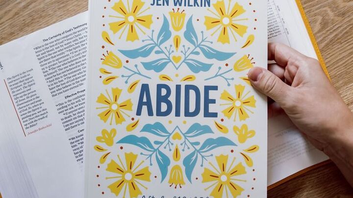 Logo for The ABIDE Journey