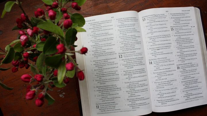 Logo for Women of the Spirit Bible Study