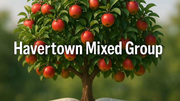 Logo for Havertown Mixed Group