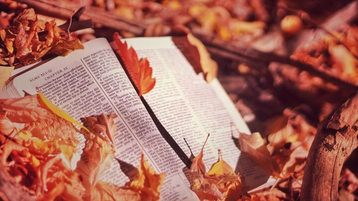 Logo for Fall  KLG - Monday 7:00pm