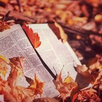 Logo for Fall  KLG - Monday 7:00pm