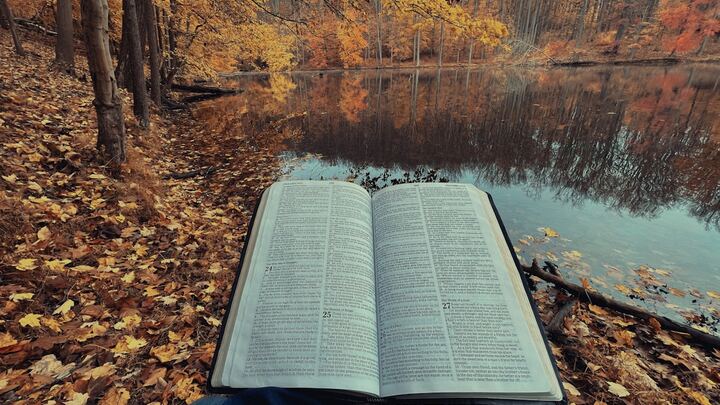 Logo for Fall KLG - Tuesday 6:00pm