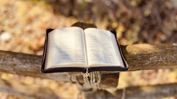 Logo for Fall KLG - Tuesday 6:30pm