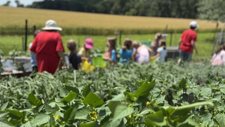 Logo for Gleaning Garden
