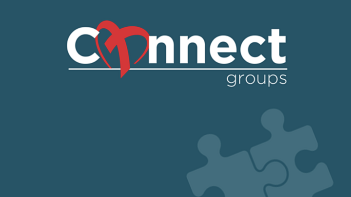 Logo for Connect Group-Sanz Hardtke