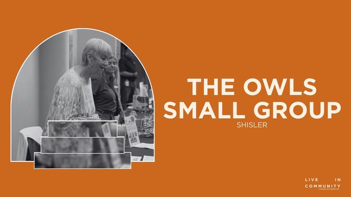 Logo for The OWLS Small Group - Shisler