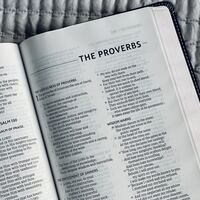 Logo for Women’s Study: The Way of Wisdom