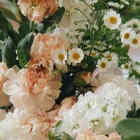 Logo for Women’s Study: Truthfilled