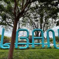 Logo for Albany CG 2025-2026