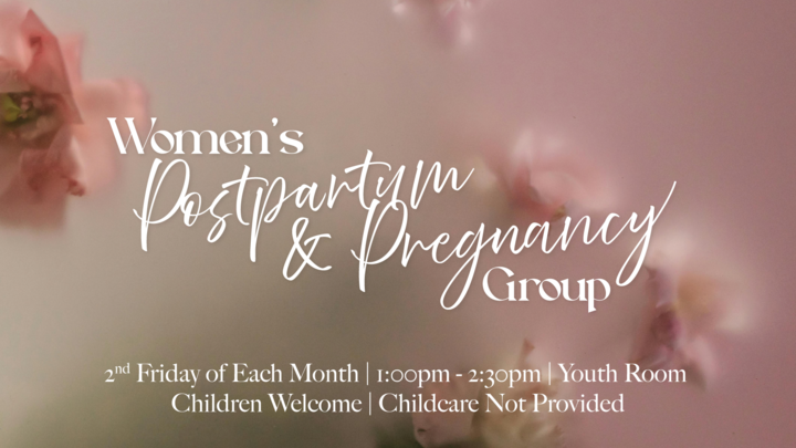Logo for Women's Postpartum and Pregnancy Life Group