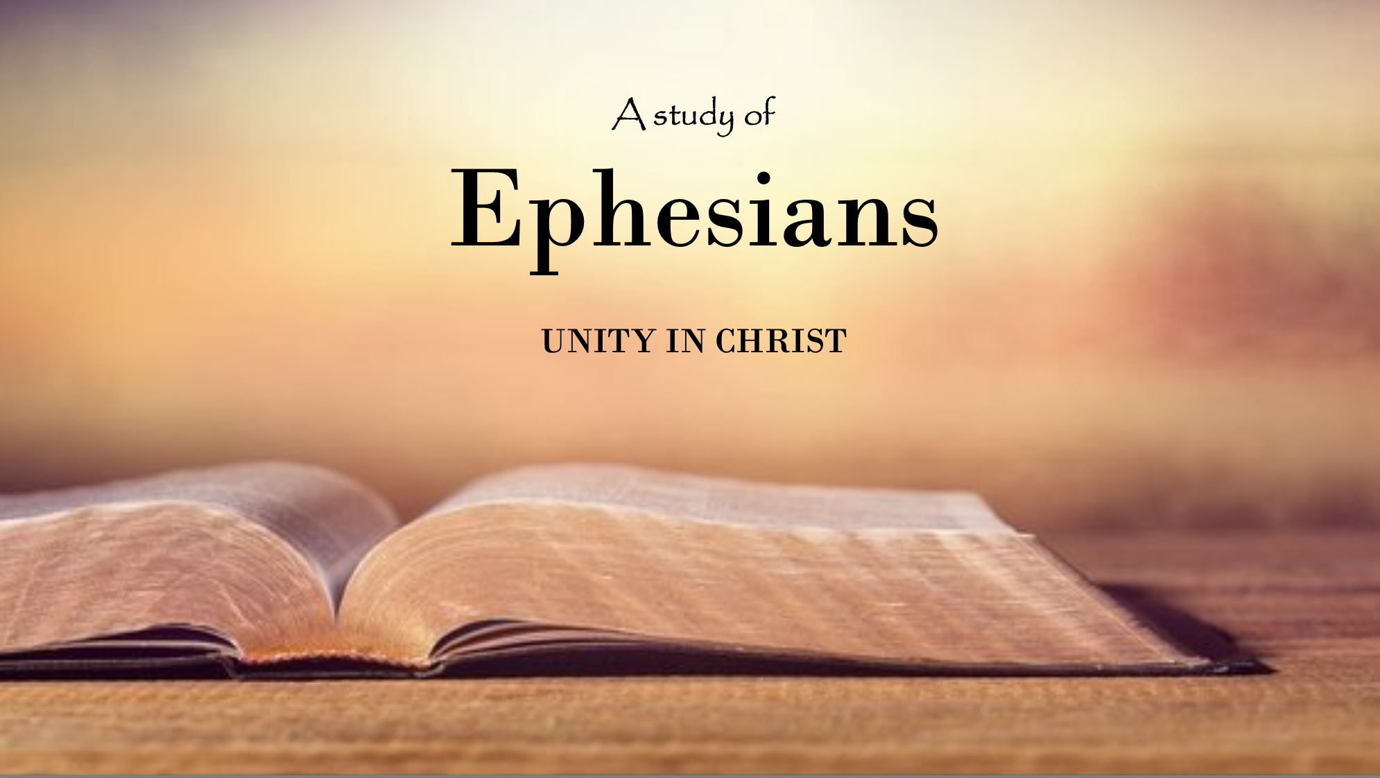 Women's Discipleship Group (Julie Ballato)