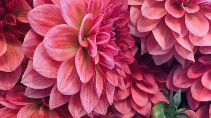 Logo for Small Group- Hosted by Mike & Vickie Kangas