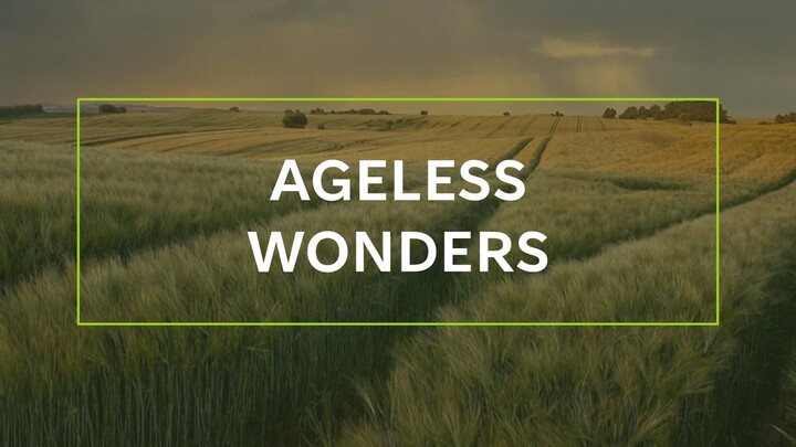 Logo for Ageless Wonders