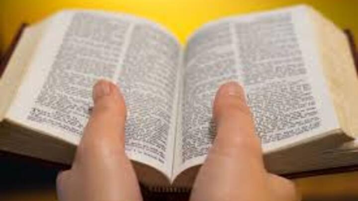 Logo for Navigating the Bible