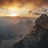 Logo for Allen Community Group