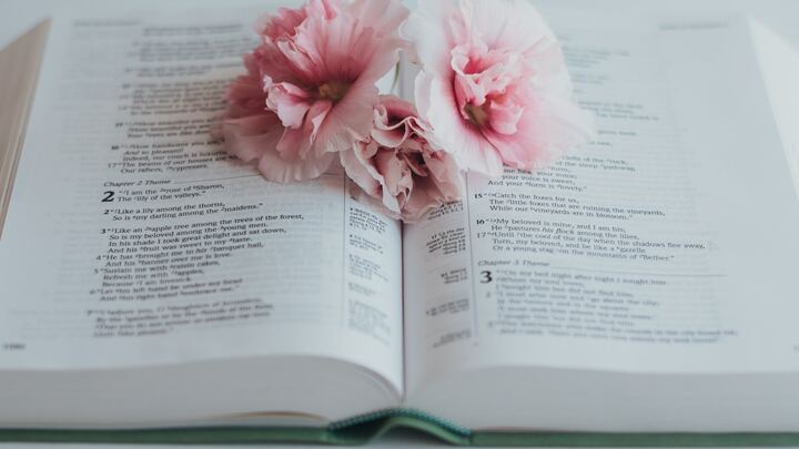 Logo for 12 Women of the Bible - Women Seeking God’s Life Changes