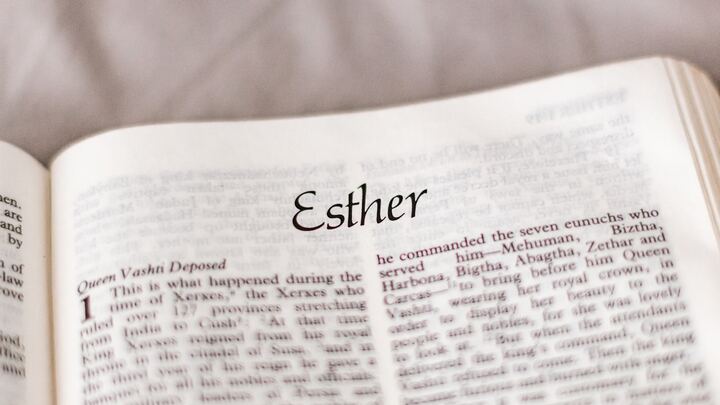 Logo for Women of the Word