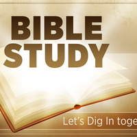 Logo for Bible Study