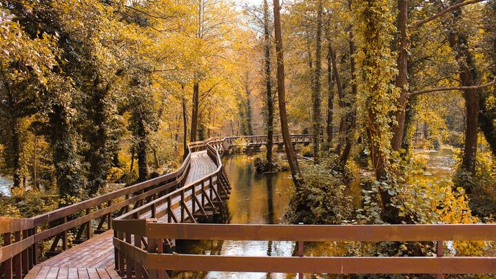 Logo for Dave and Wendy Garrety