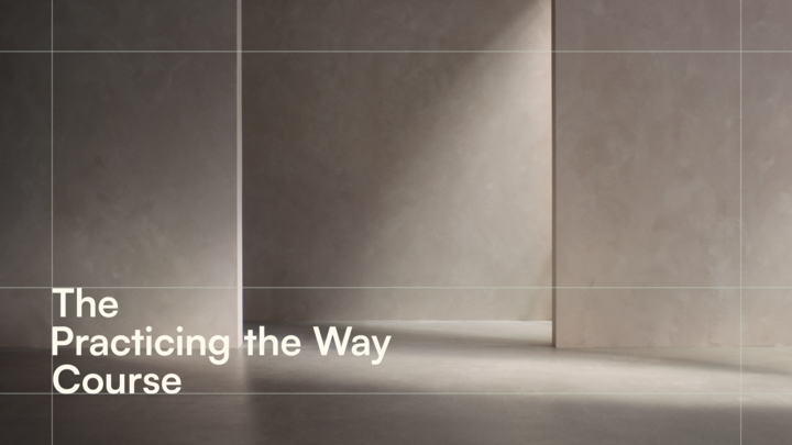 Logo for Practicing The Way